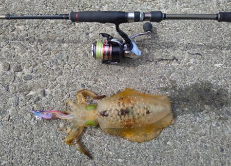 季節外れの寒さ